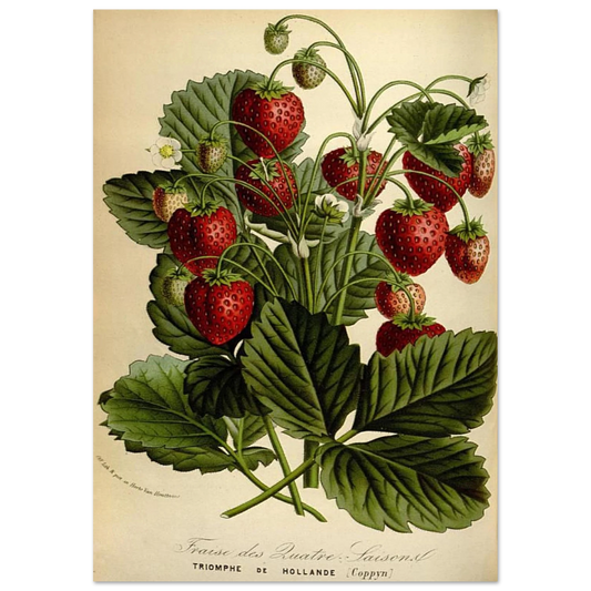 c0b46523-ec8d-4a64-9a41-d08fb7a32293